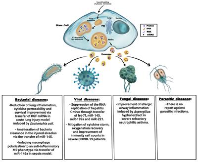 Stem Cell-Derived Exosome as Potential Therapeutics for Microbial Diseases